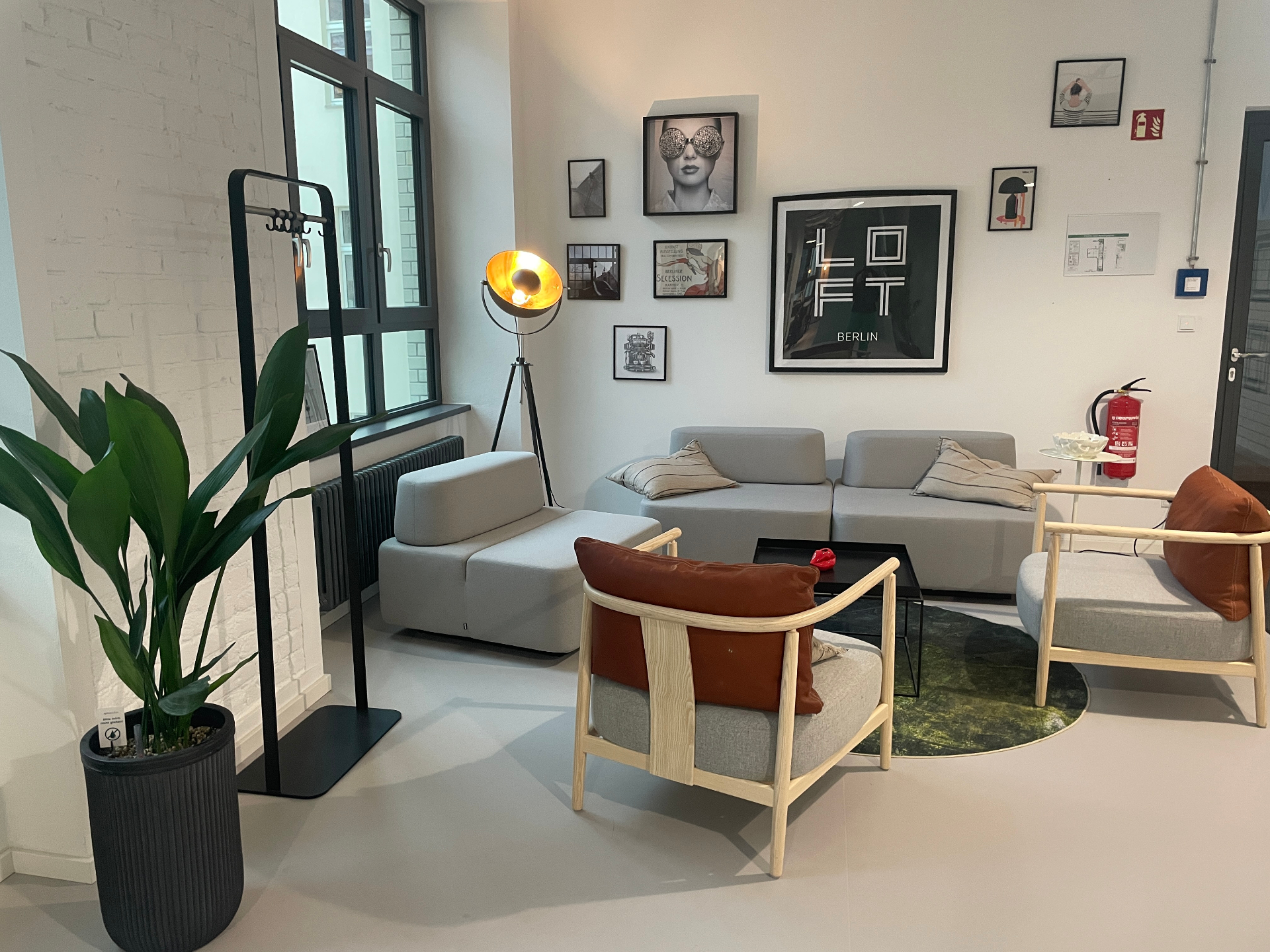 Modern Munich office lounge with a large indoor plant