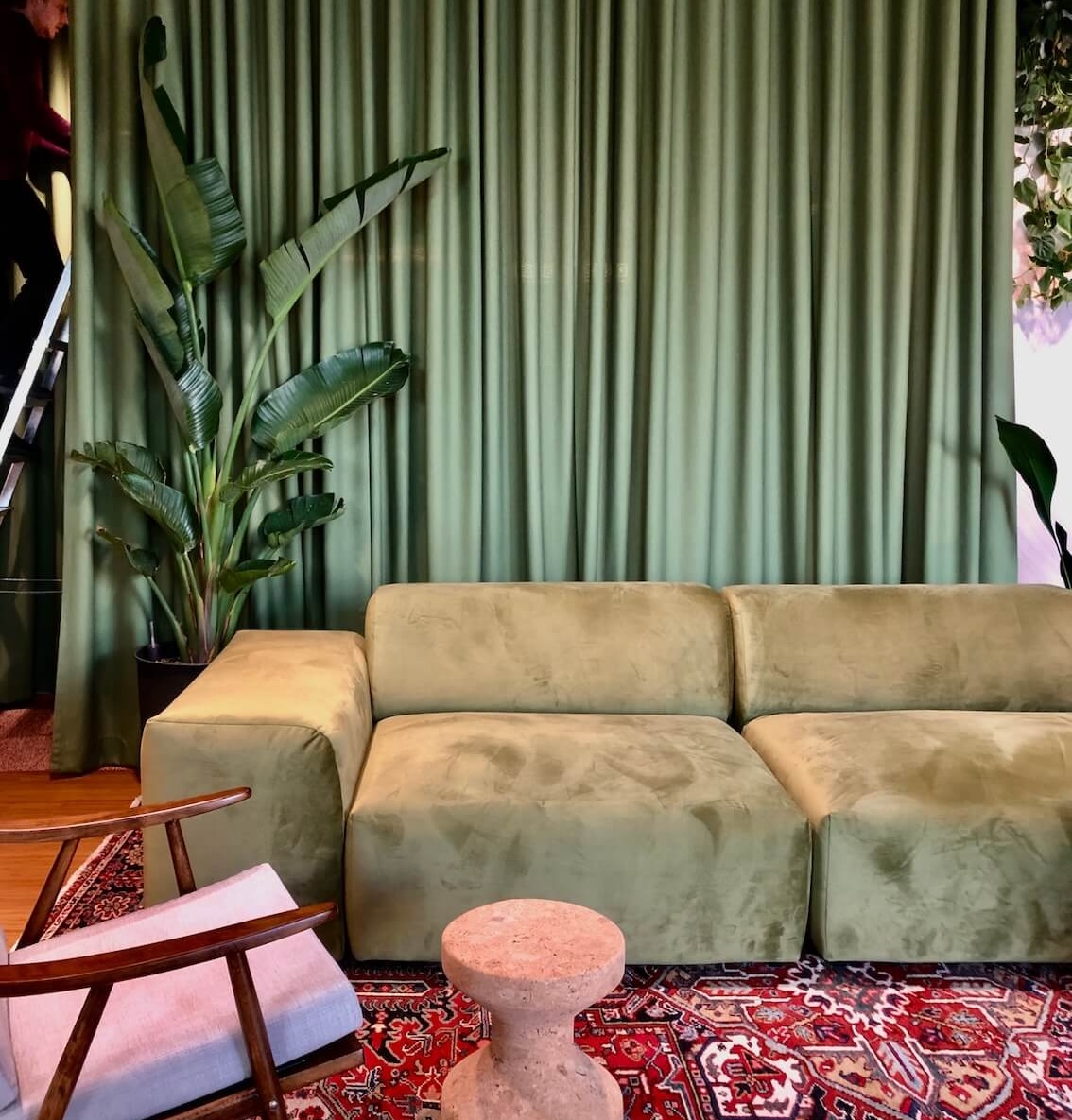 Tall indoor plant beside green seating in a Cologne office lounge