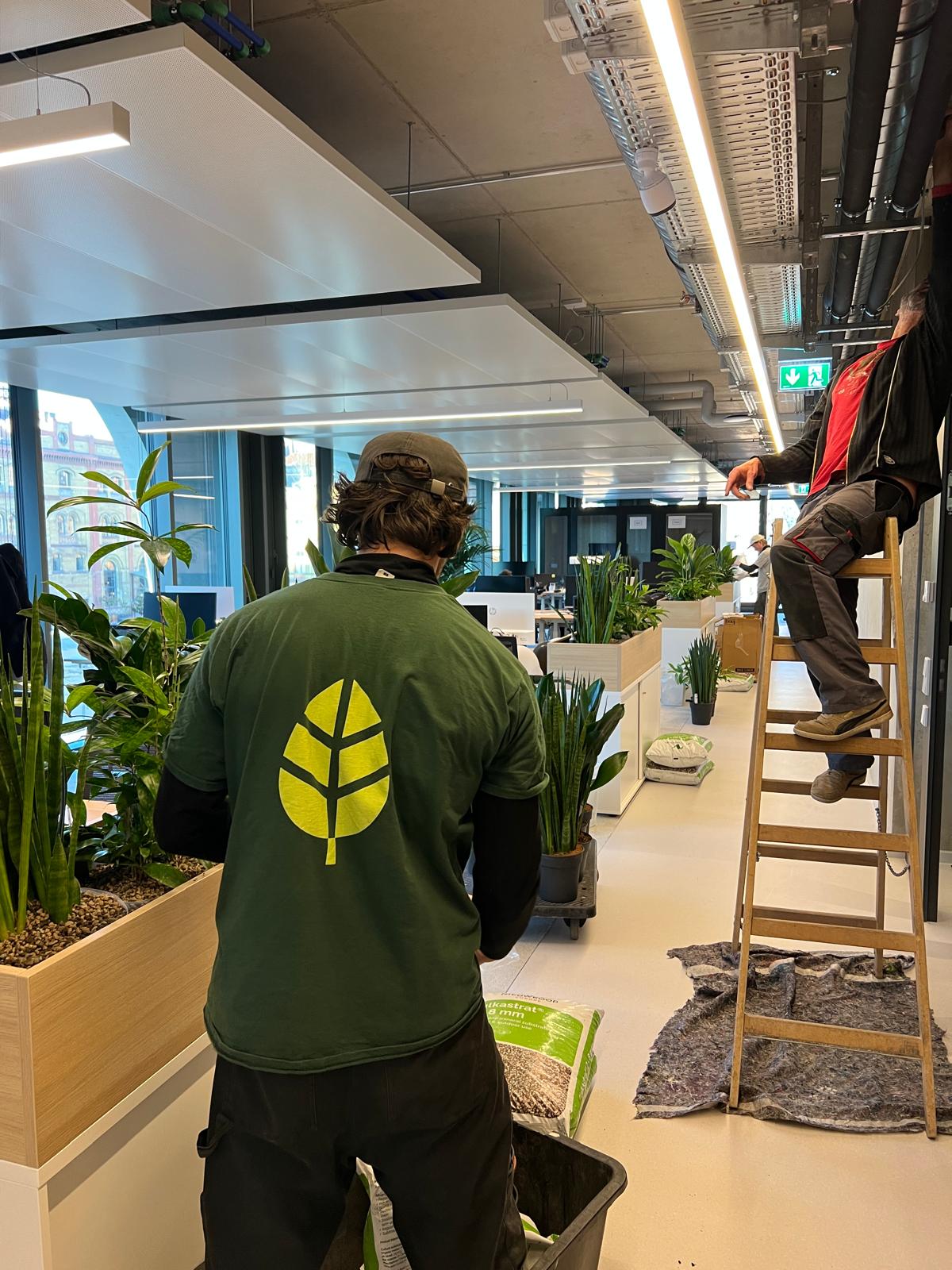 Plant installation team in Berlin