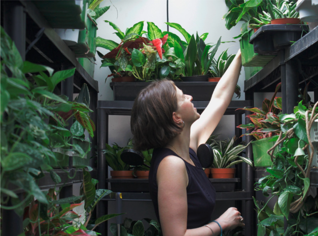 Team member selecting plants