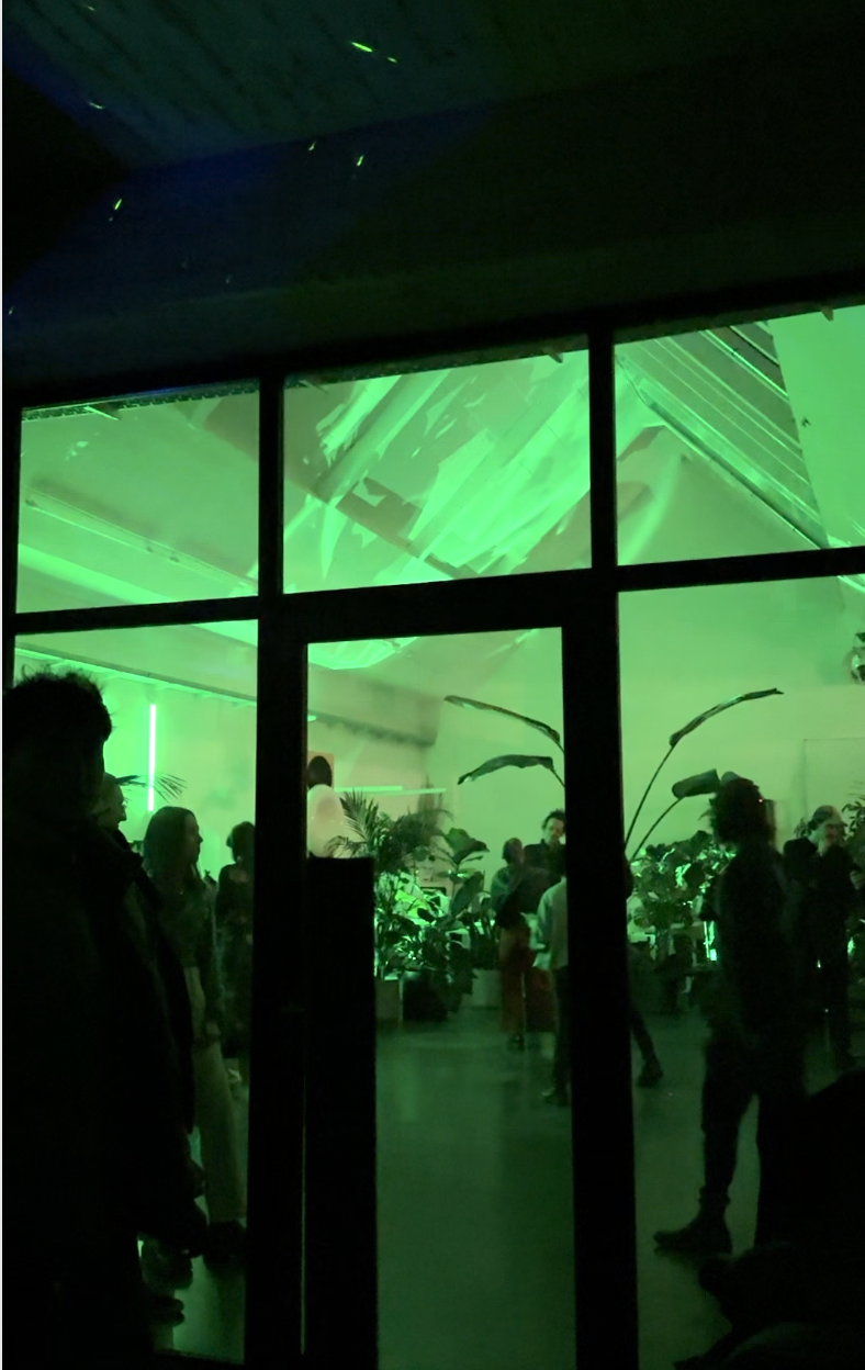 Plantclub fifth birthday party