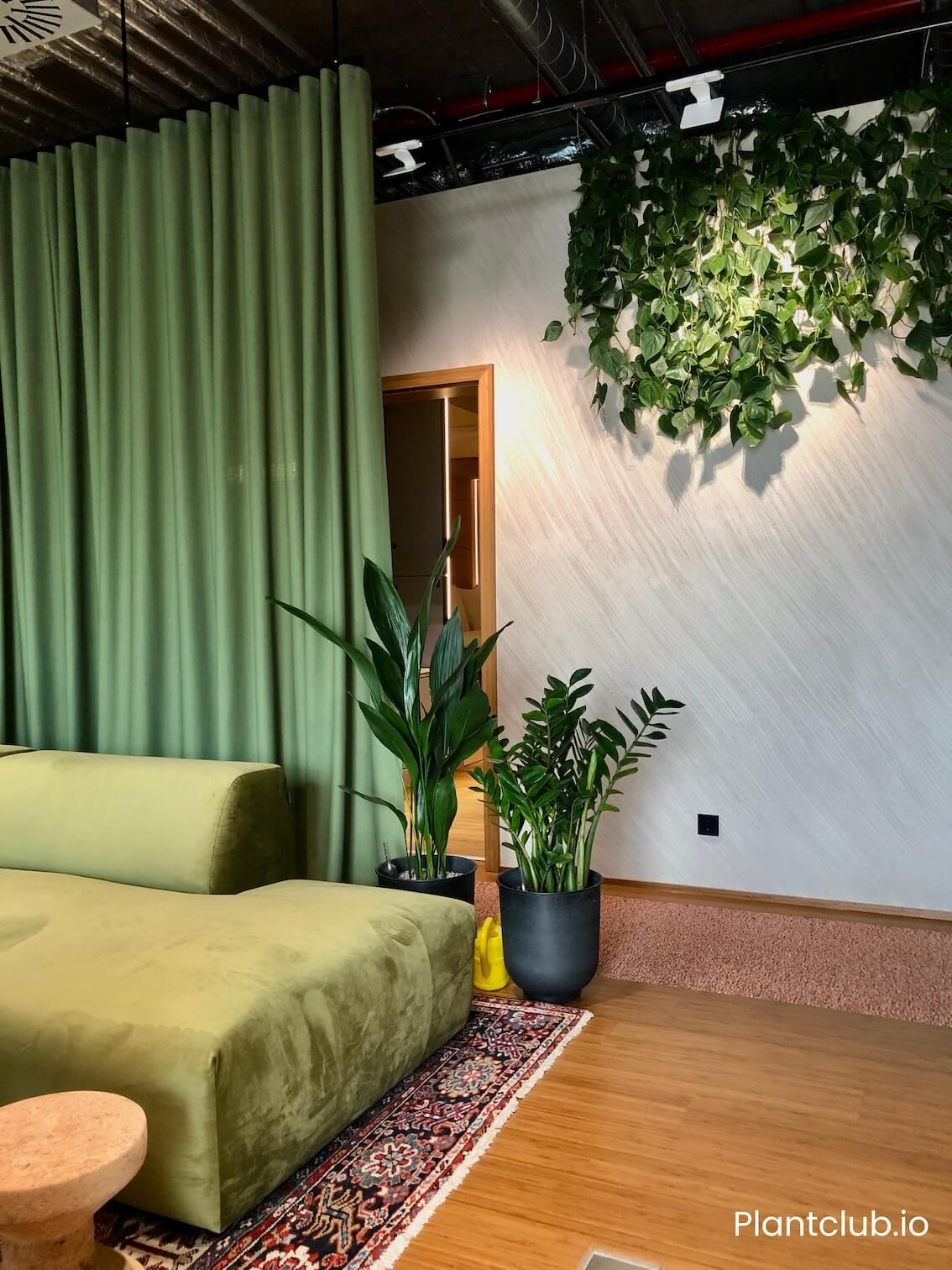 Adina Hotel space
