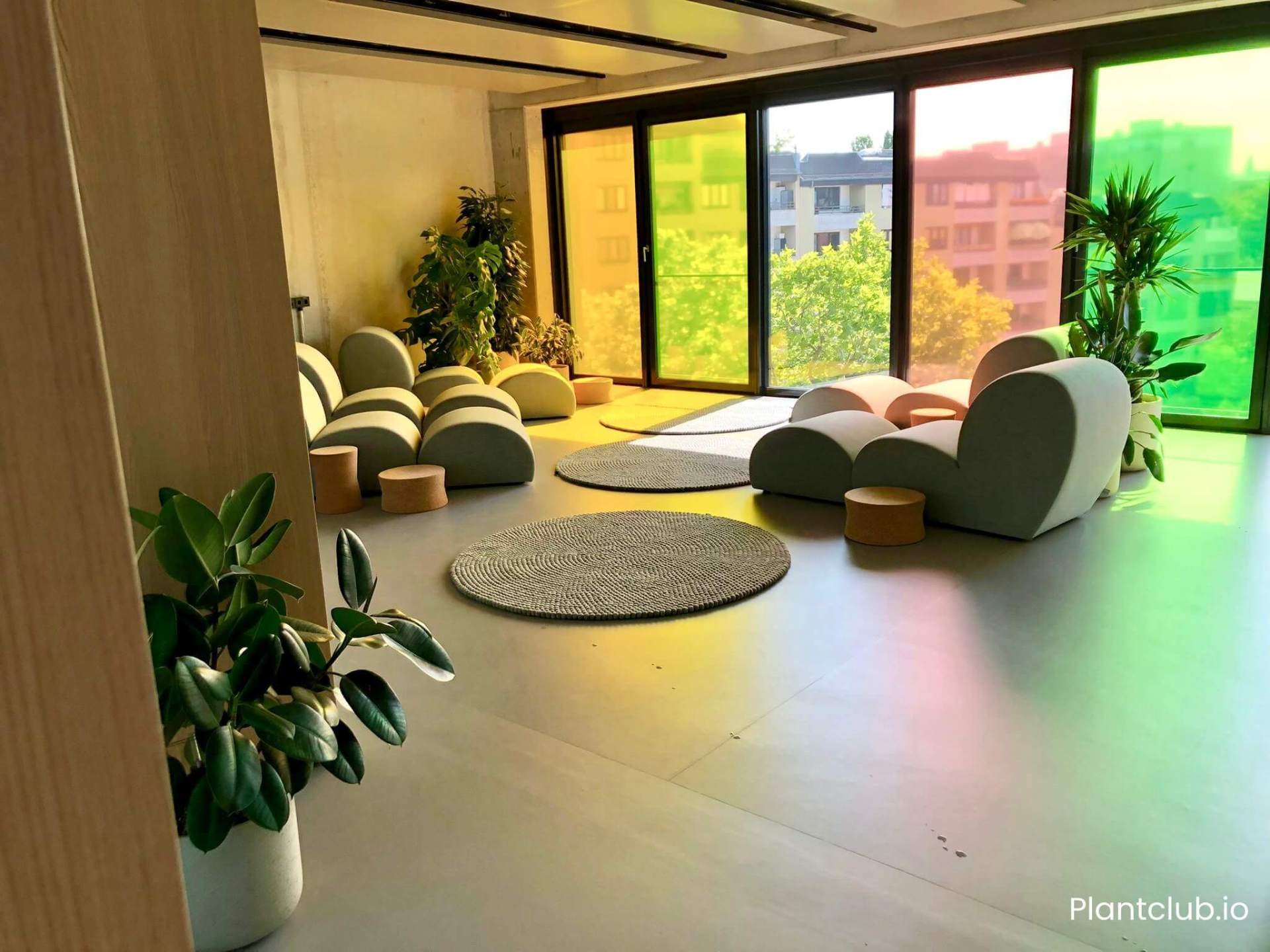 Lush office plants in our Berlin showroom