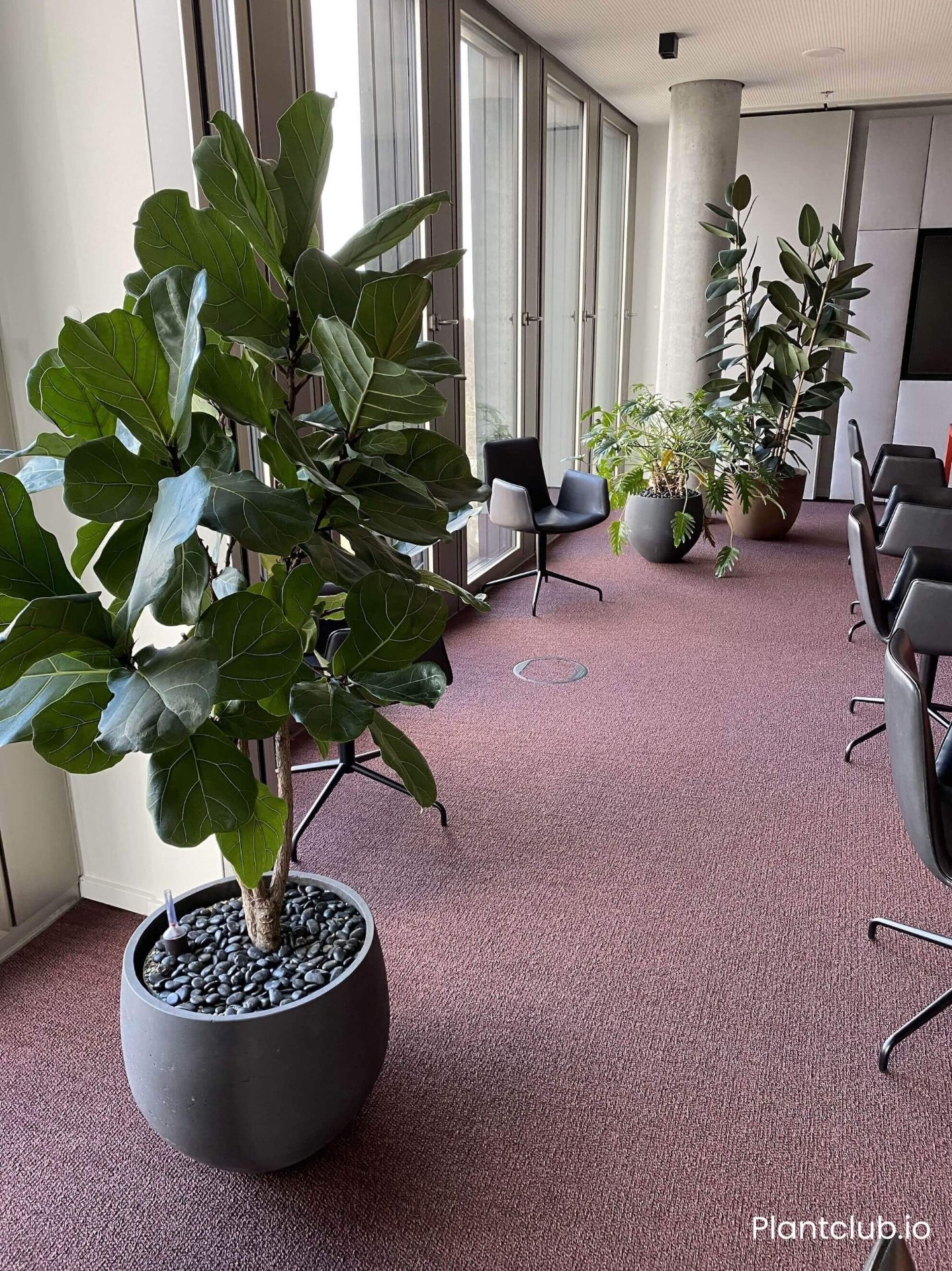Cushman & Wakefield space 6