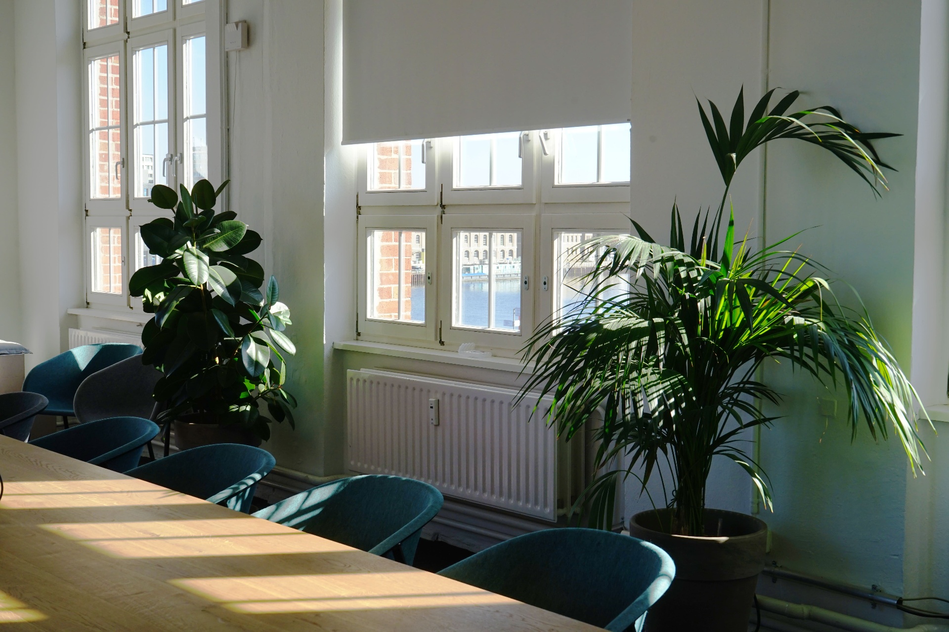 Green office in Düsseldorf