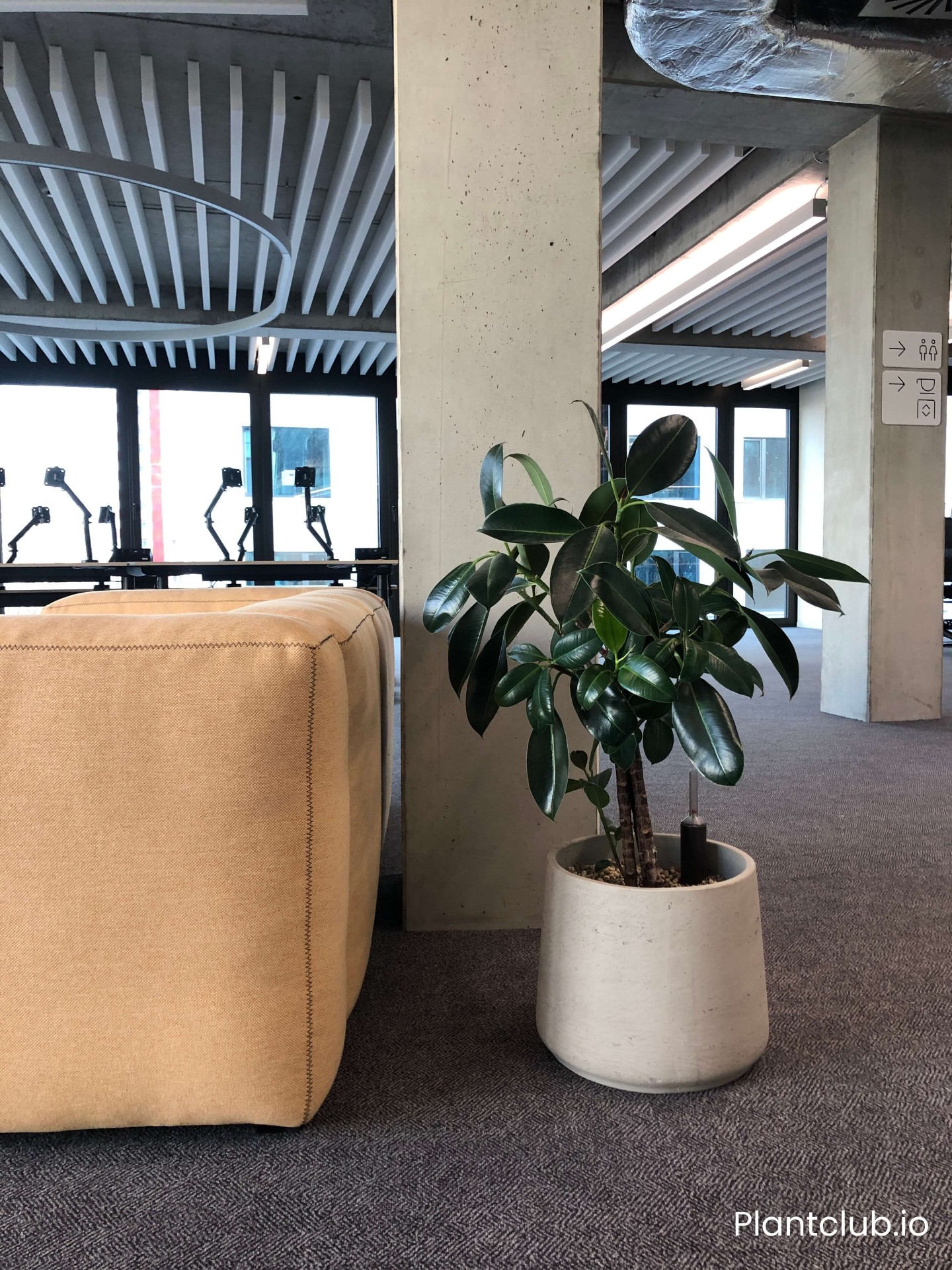 Green office in Vienna