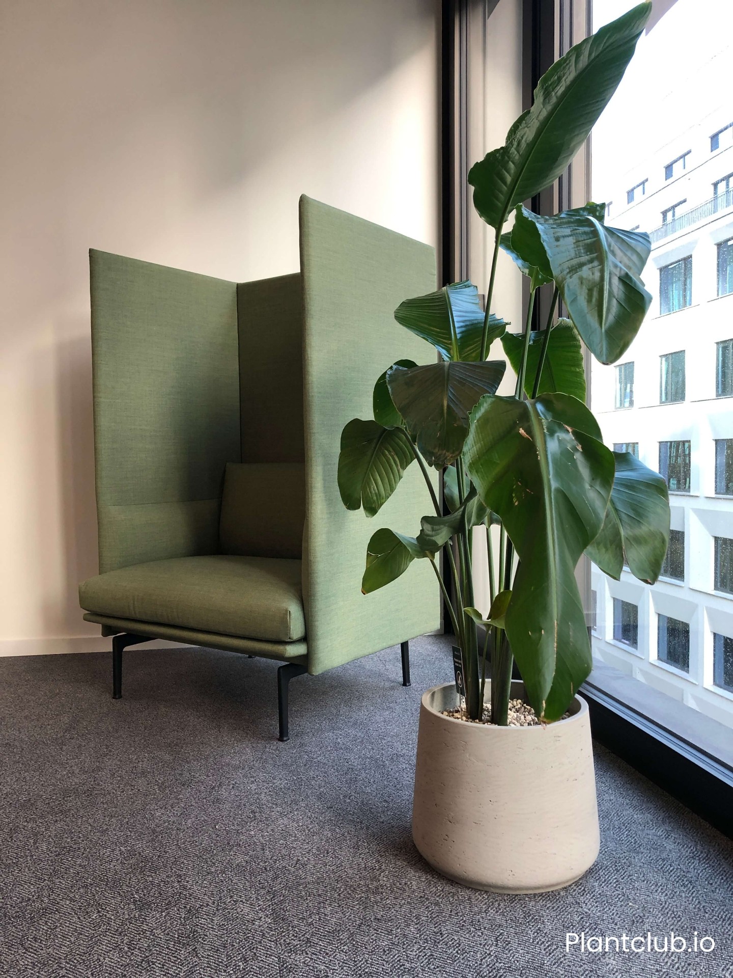 Office plants in Vienna