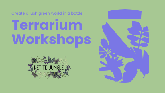 Terrarium Design